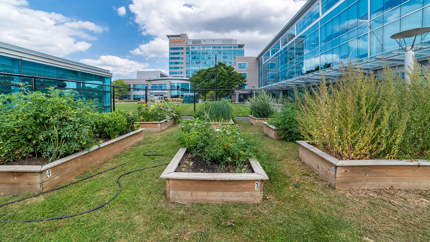 Steeles Technology Campus