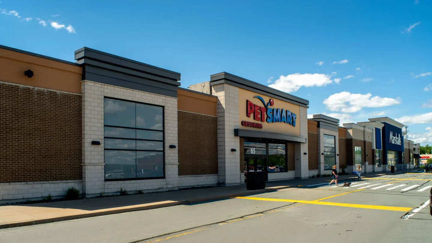 Street-level view of the PetSmart and Marshalls storefronts at Dartmouth Crossing on a sunny day with a clear blue sky and a few clouds. The PetSmart sign is prominently displayed above the entrance with the word "Grooming" underneath and the number 65 on the glass door. The Marshalls store is to the right with its blue and white sign visible. Two people are seen crossing the parking lot’s painted pedestrian crosswalk—one of them walking a small dog. The road includes bold yellow curb markings for visibility and accessibility.