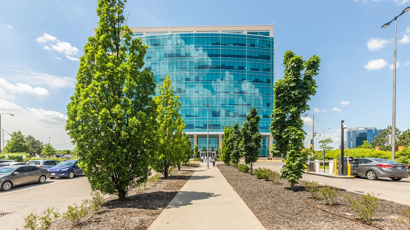 Central pedestrian walkway flanked by trees and lined with parked cars, leading to a tall curved glass office tower reflecting the sky.