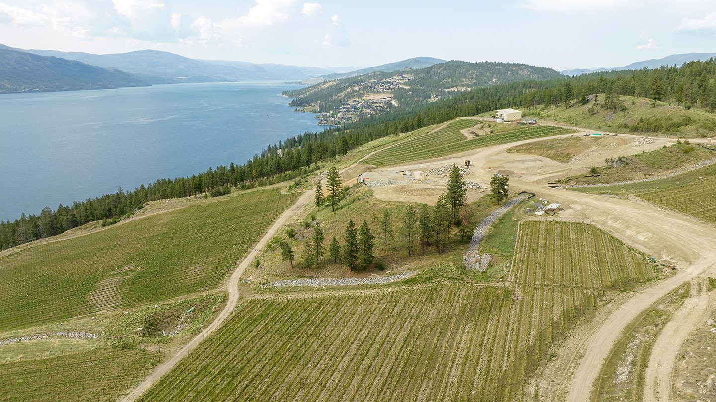Aerial view of a developing vineyard estate nestled in rolling hills near a large, calm lake. The image shows winding dirt roads, planted vineyard rows, a few scattered buildings, and areas of exposed soil under development. In the distance, forested hills and a cluster of homes overlook the shimmering lake extending toward the horizon under a partly cloudy sky.
