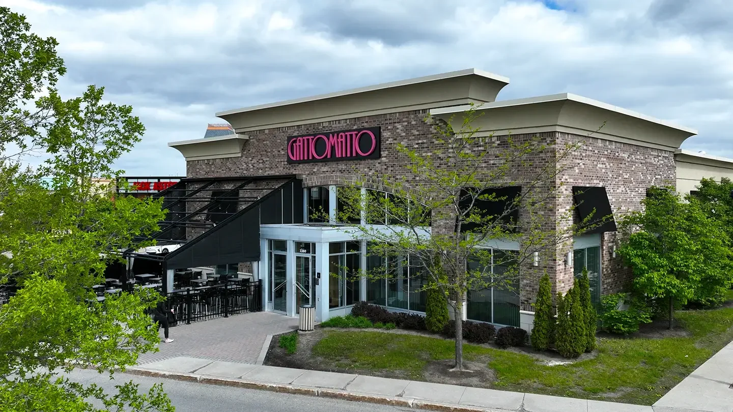 Boisbriand_Gatto Matto