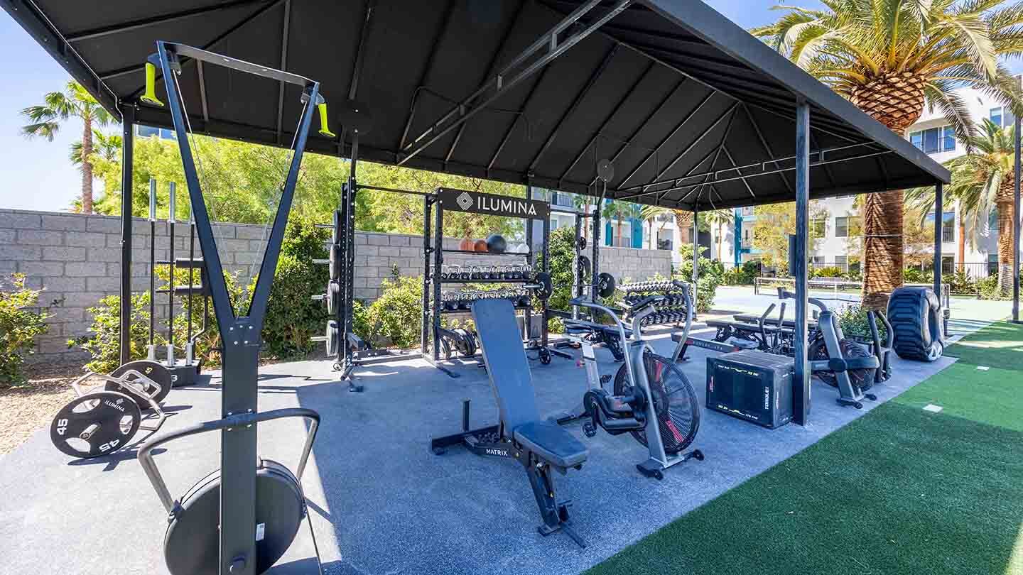 Illumina Raiders Way-6