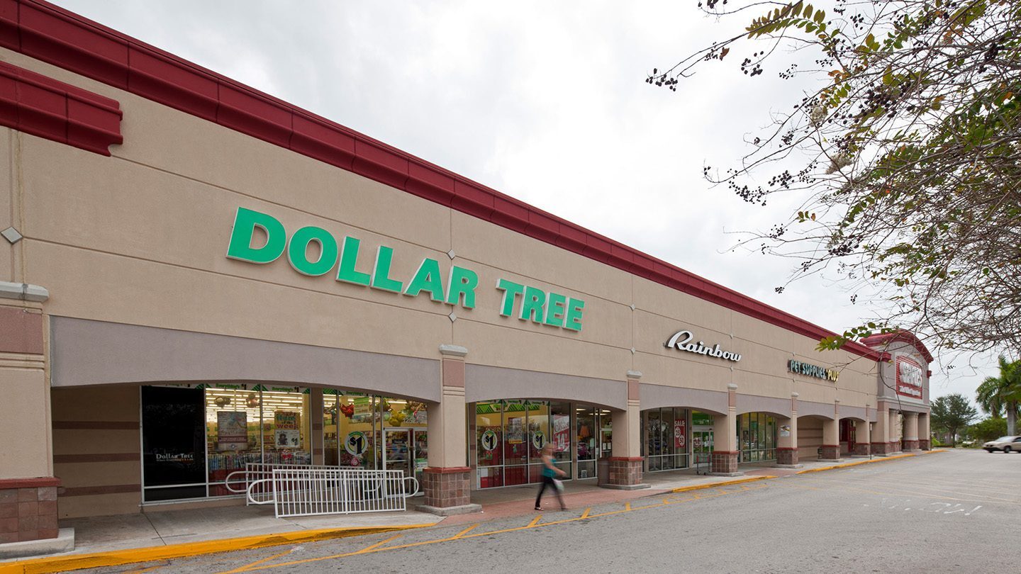 Street-level view of a retail plaza with a large Dollar Tree store in the foreground. The building has beige walls with red trim, and other tenants like Rainbow and Pet Supplies Plus are visible further down. A person is walking on the sidewalk under the covered walkway.